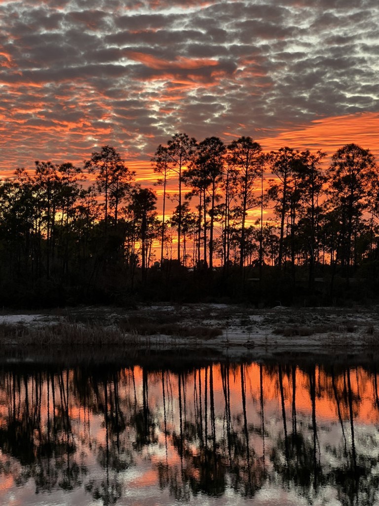 937 Backwater Road Port St. Joe, FL 32456 - Photo 46 of 50
