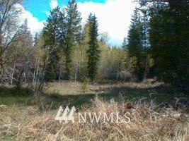 L3 Three Seasons Road Winthrop, WA 98862 - Photo 1 of 1 Gallery Image 1