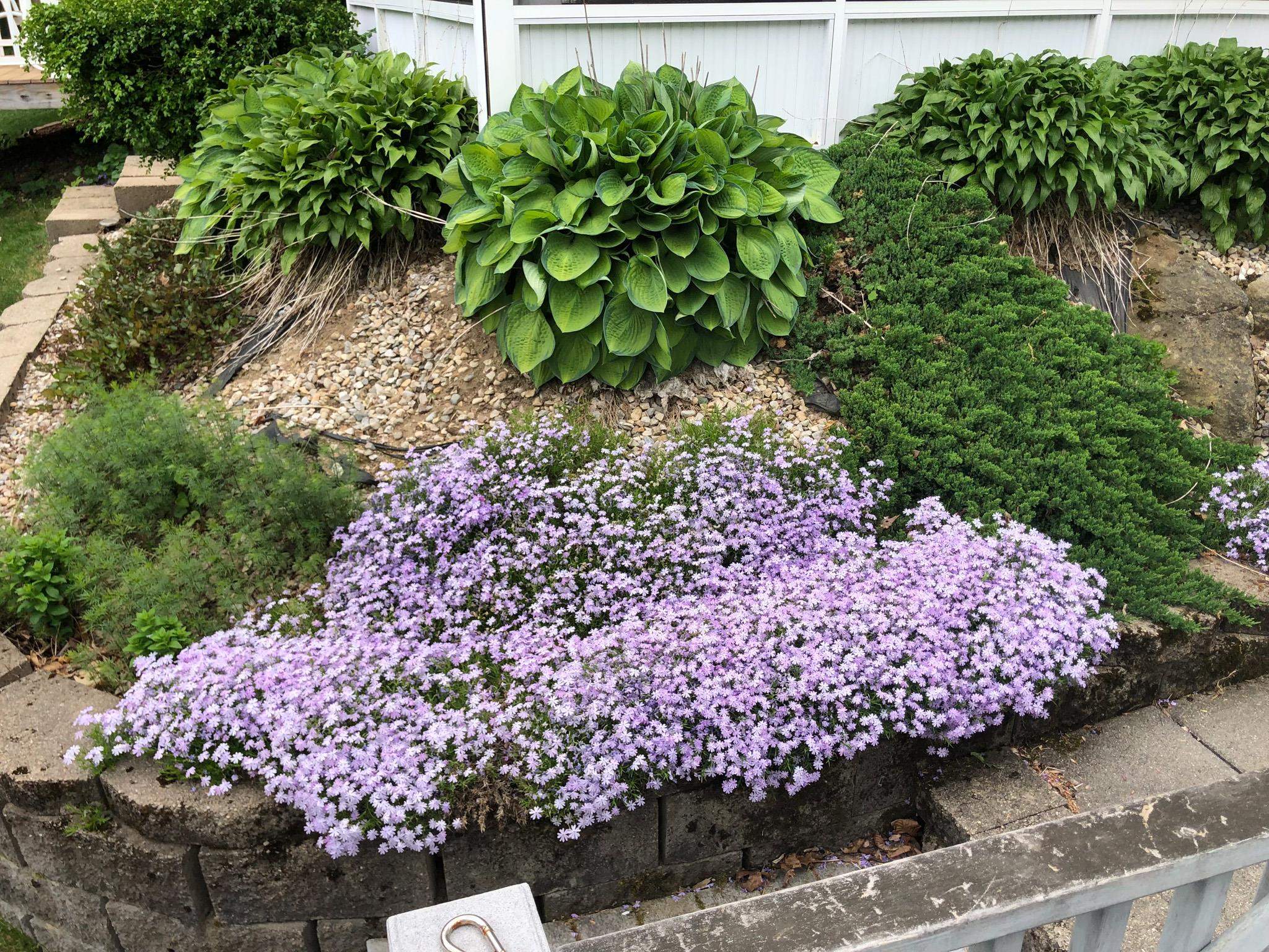 163 Stable Road Milford, NH 03055 - Photo 29 of 29