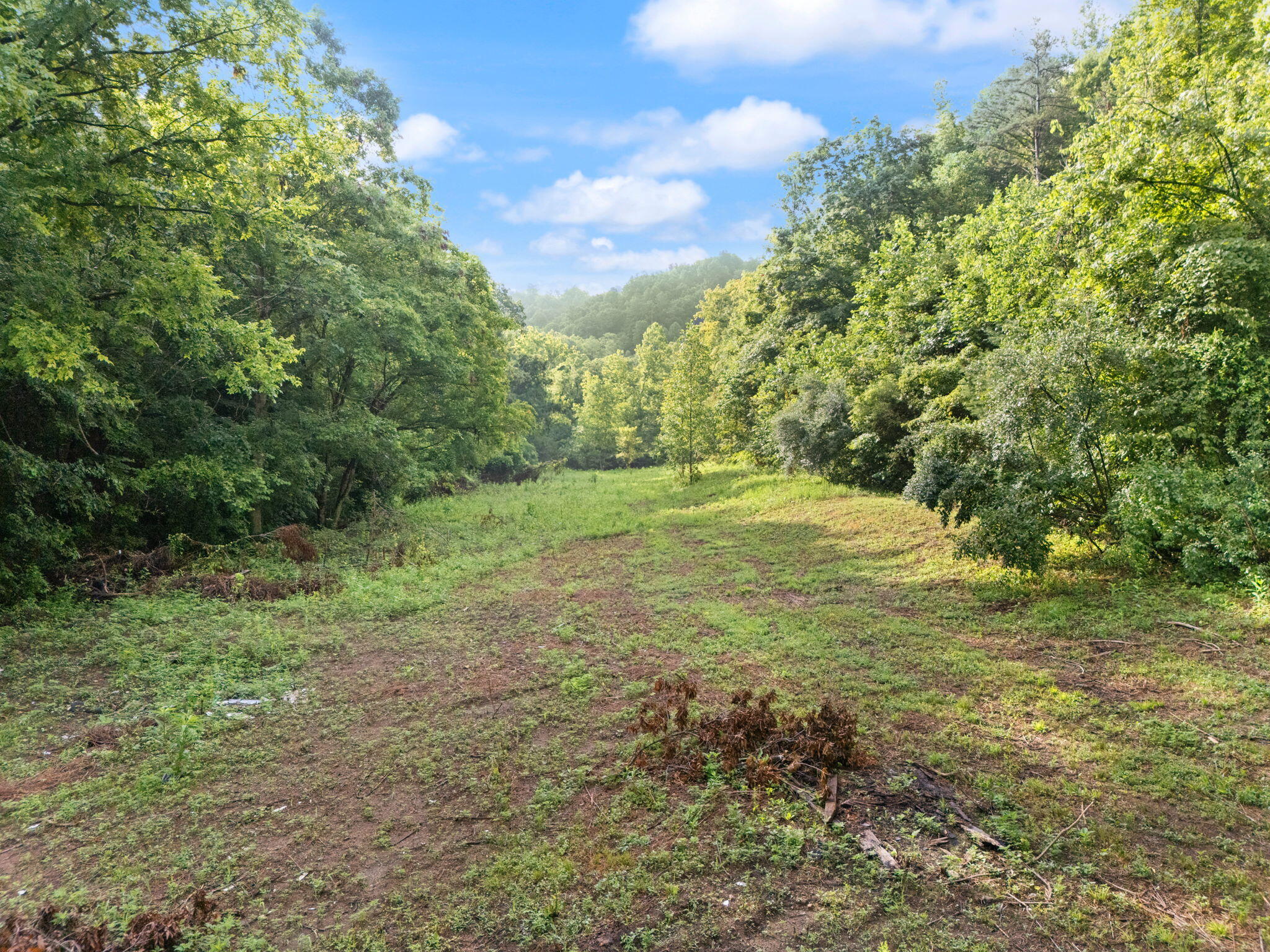 492 Sugar Camp Road Booneville, KY 41314 - Photo 3 of 44 18-web-or-mls-DJI_20250701090245_0048_D