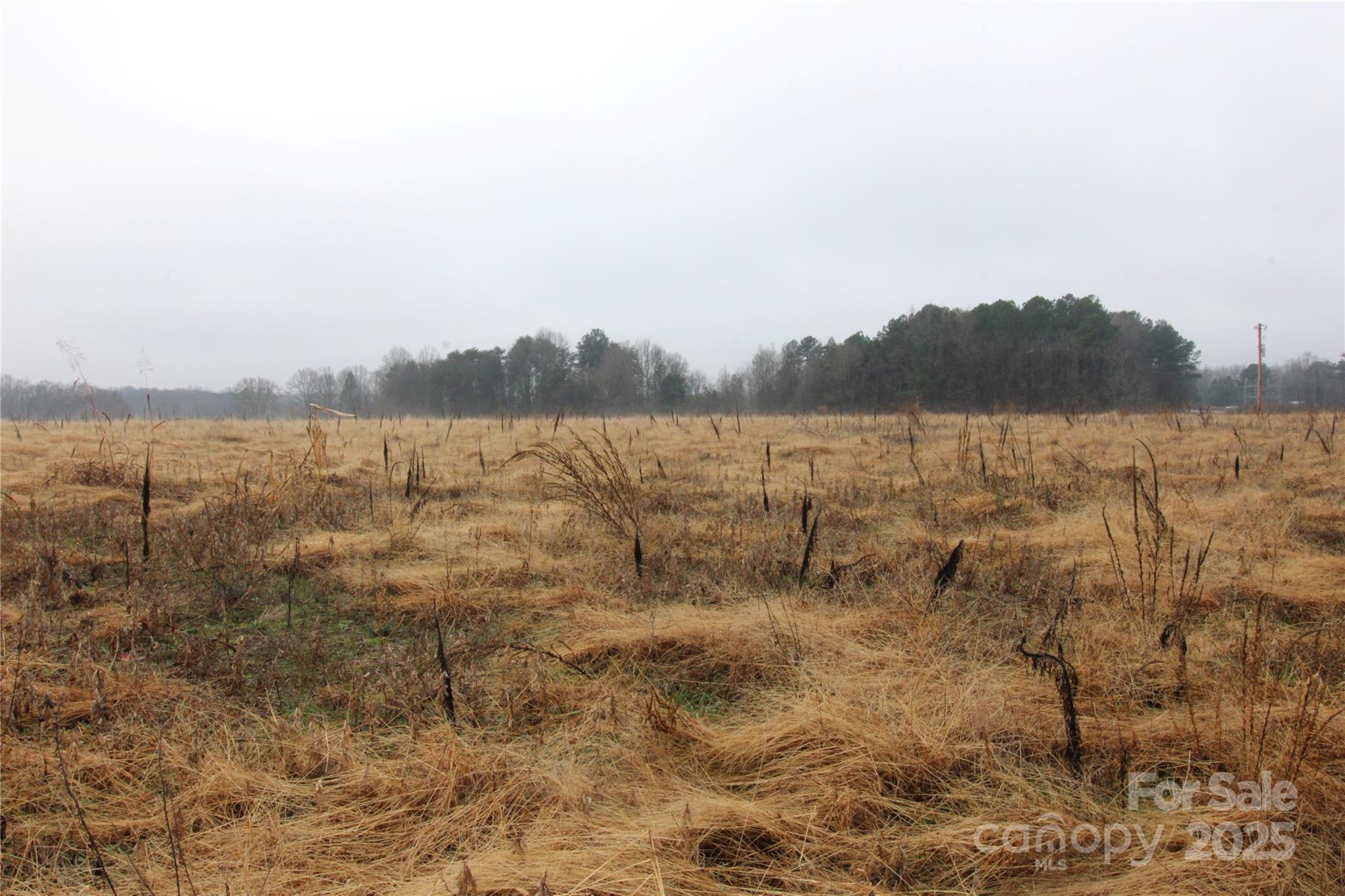 Lot A Lot A 4-ac Bess Road Kings Mountain, NC 28086 - Photo 2 of 4 a view of lake