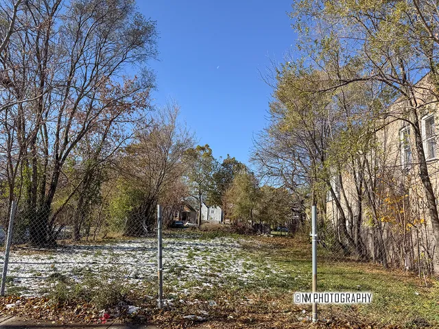 a view of a yard with a tree