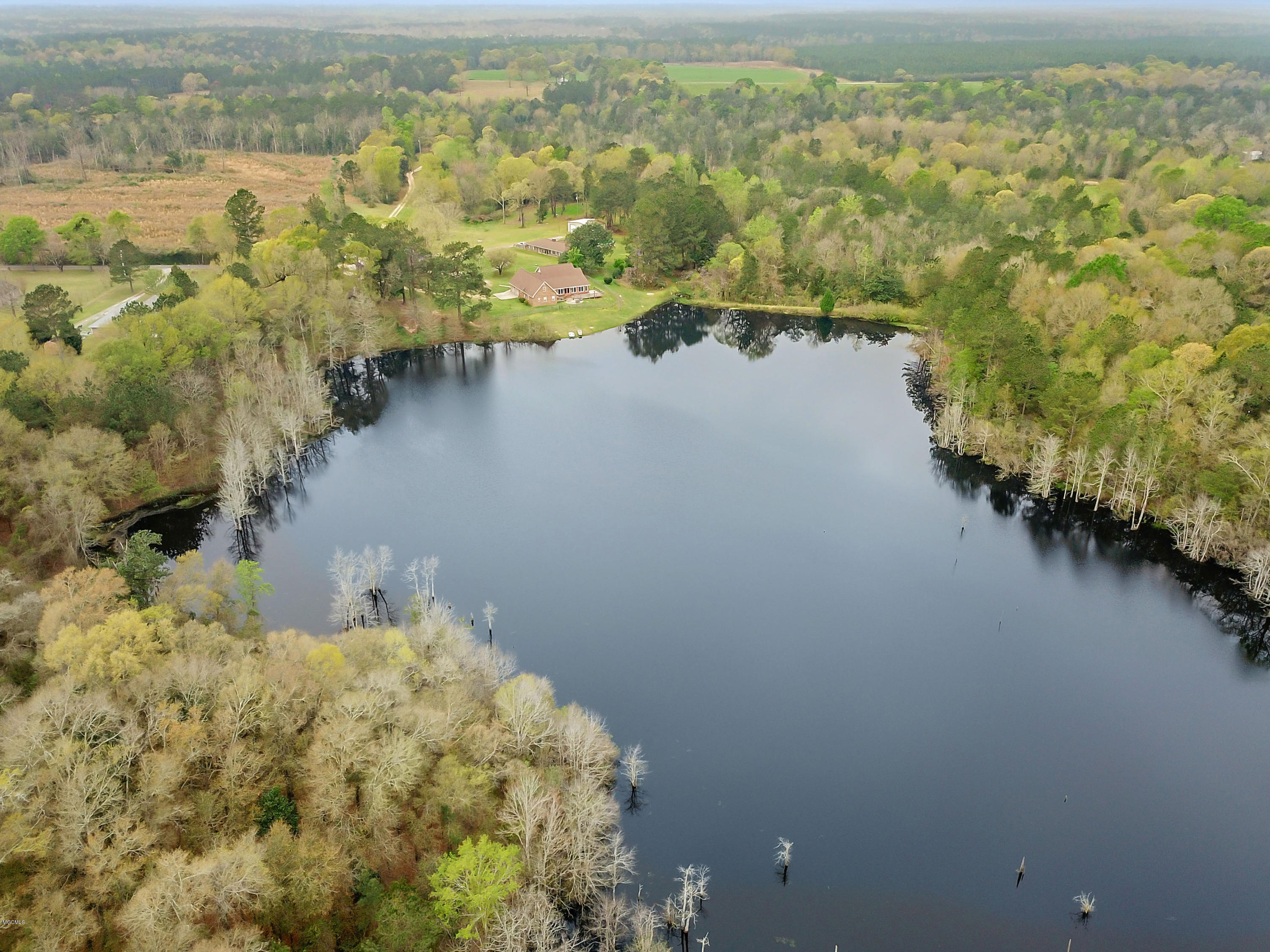 74 Duncan Hatten Road Wiggins, MS 39577 - Photo 43 of 46 043
