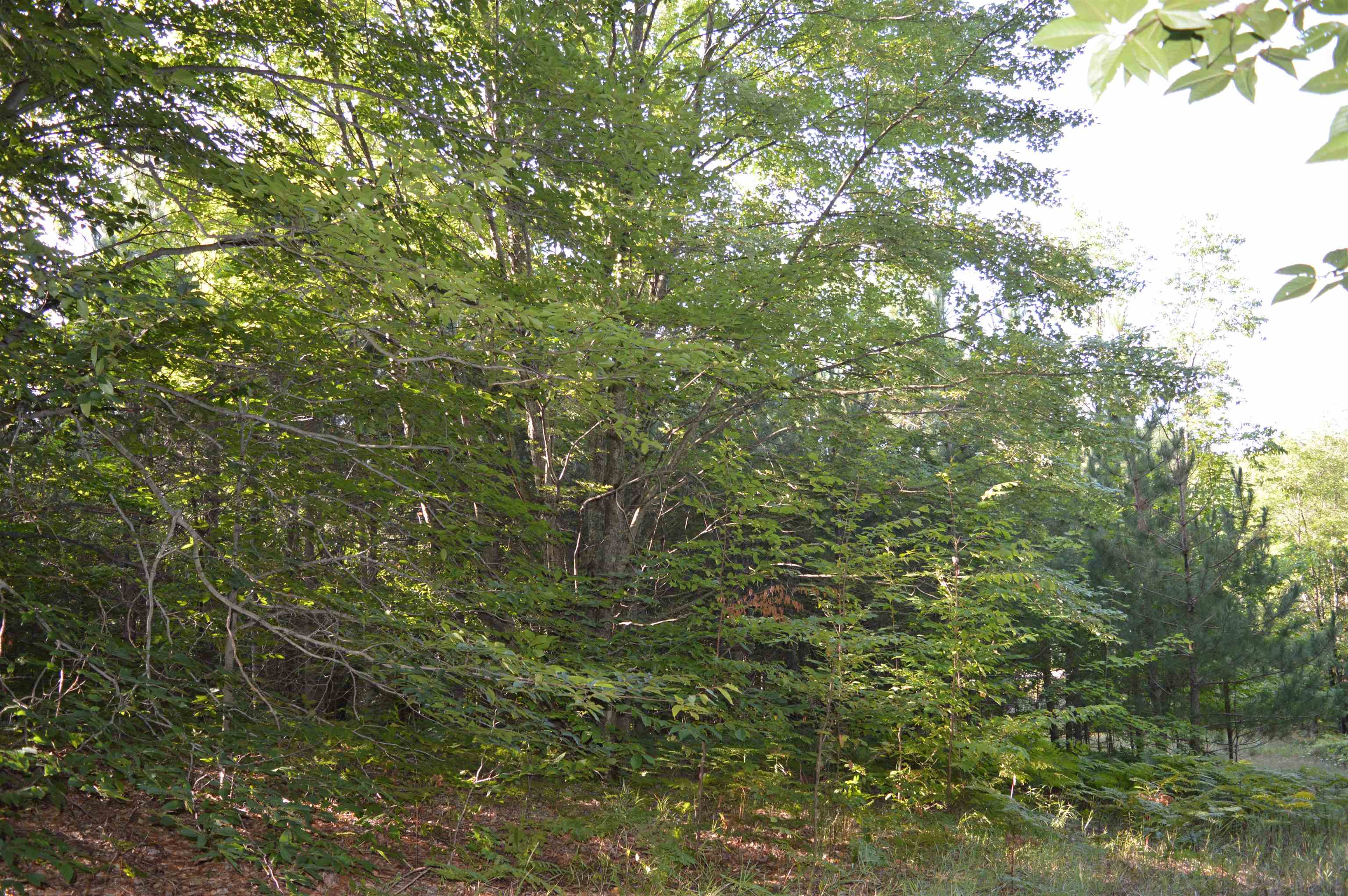 West Leonard Road Mancelona, MI 49659 - Photo 23 of 28 Gallery Image 23