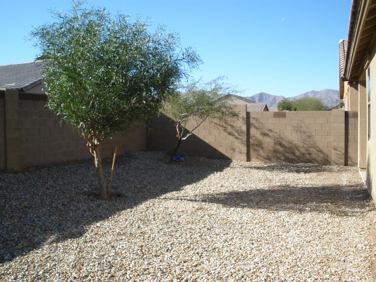 18011 West Hatcher Road Waddell, AZ 85355 - Photo 8 of 12 Back Yard