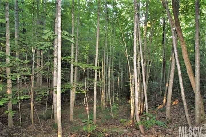 N/a Bee Mountain Ridge Road Lenoir, NC 28645 - Photo 14 of 14 Gallery Image 14