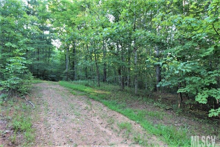 N/a Bee Mountain Ridge Road Lenoir, NC 28645 - Photo 4 of 14 Gallery Image 4
