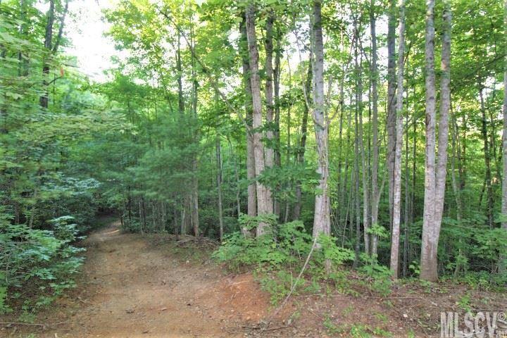 N/a Bee Mountain Ridge Road Lenoir, NC 28645 - Photo 5 of 14 Gallery Image 5