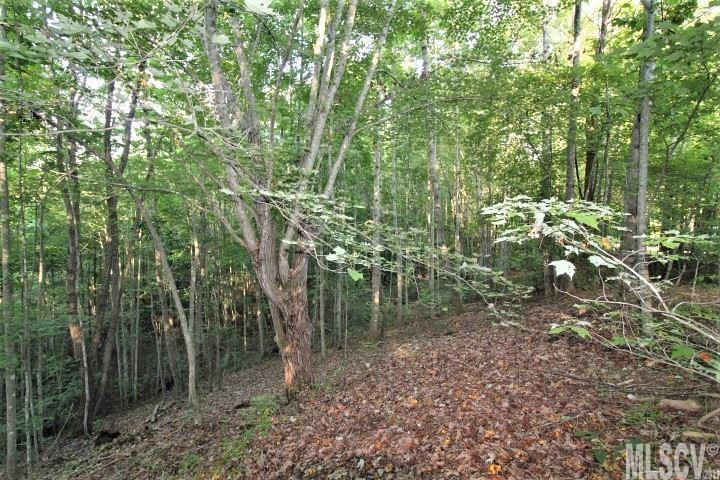 N/a Bee Mountain Ridge Road Lenoir, NC 28645 - Photo 8 of 14 Gallery Image 8