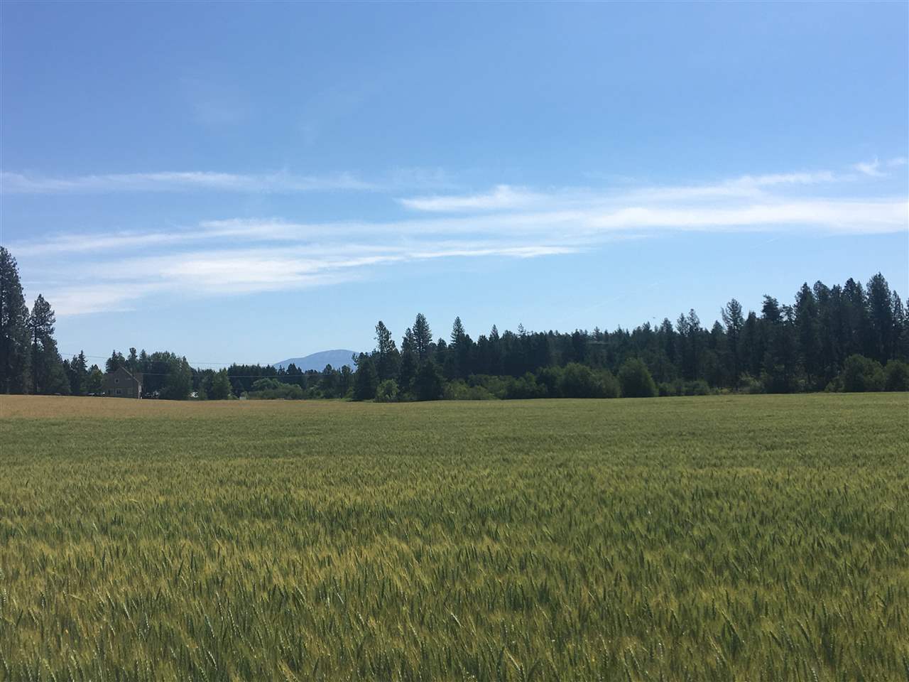 0 West Herman Road, Unit 28044 9062 Deer Park, WA 99006 - Photo 12 of 30