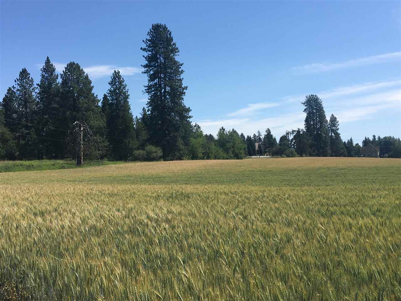 0 West Herman Road, Unit 28044 9062 Deer Park, WA 99006 - Photo 13 of 30