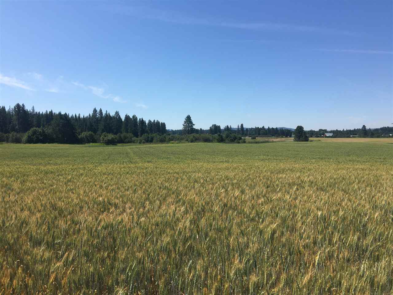 0 West Herman Road, Unit 28044 9062 Deer Park, WA 99006 - Photo 14 of 30