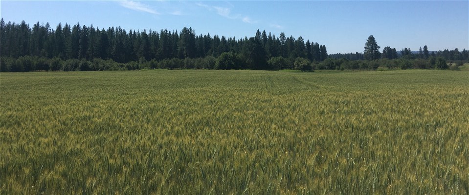 0 West Herman Road, Unit 28044 9062 Deer Park, WA 99006 - Photo 16 of 30