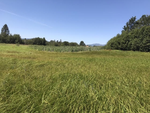 0 West Herman Road, Unit 28044 9062 Deer Park, WA 99006 - Photo 3 of 30
