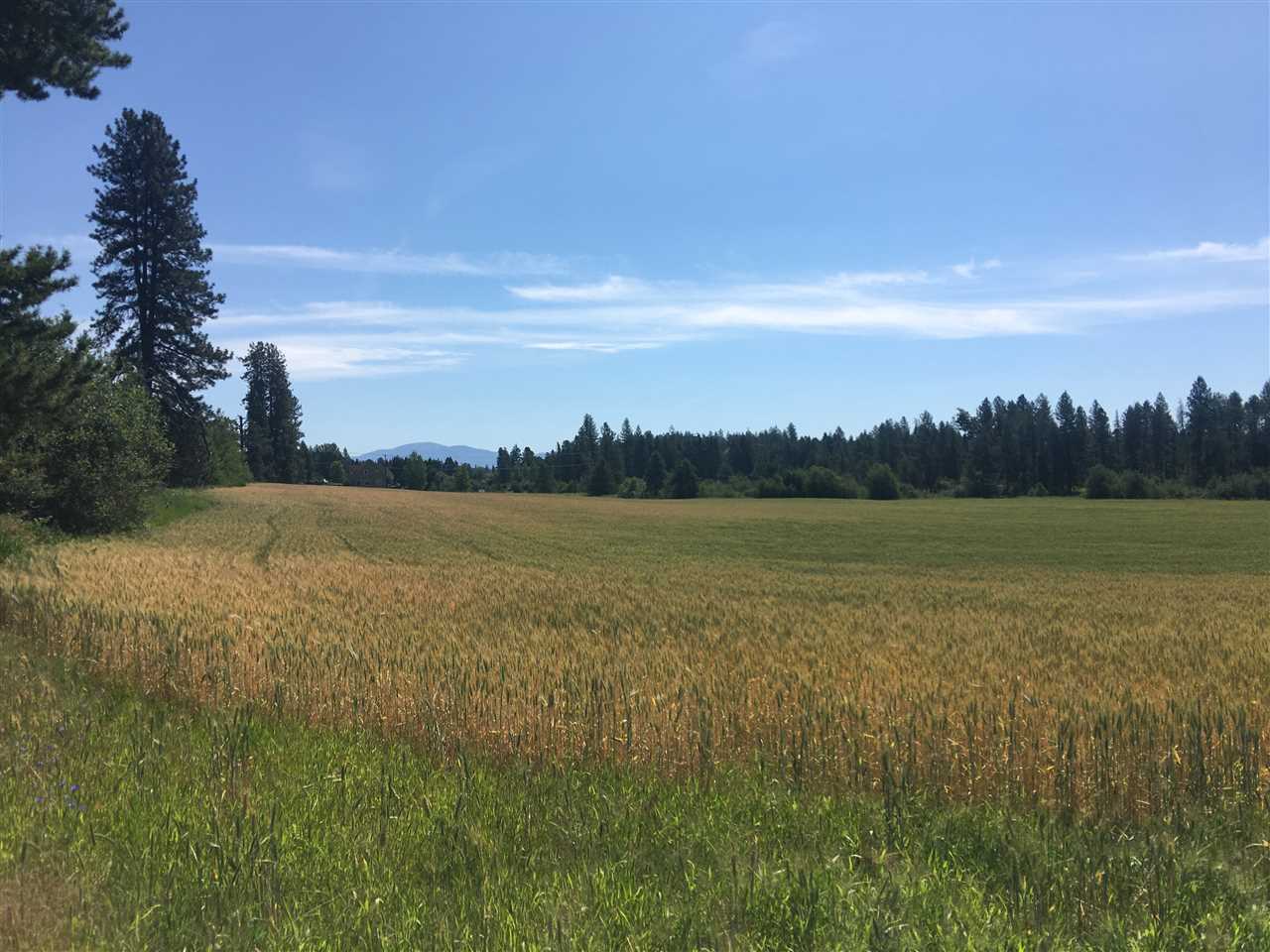 0 West Herman Road, Unit 28044 9062 Deer Park, WA 99006 - Photo 5 of 30