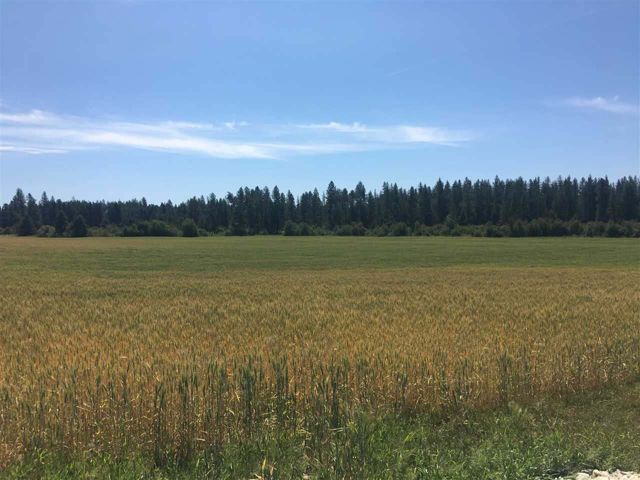 0 West Herman Road, Unit 28044 9062 Deer Park, WA 99006 - Photo 6 of 30