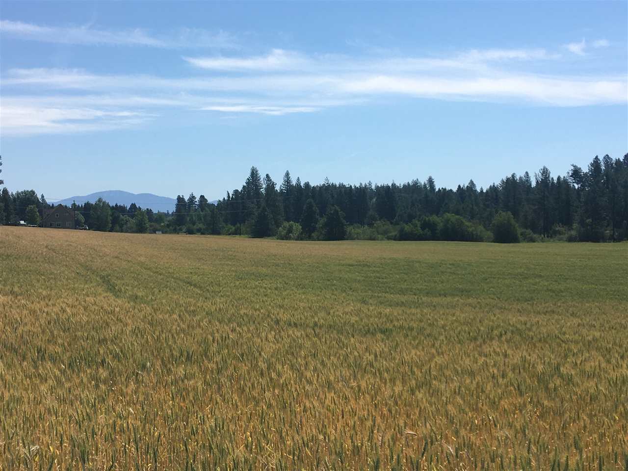 0 West Herman Road, Unit 28044 9062 Deer Park, WA 99006 - Photo 7 of 30