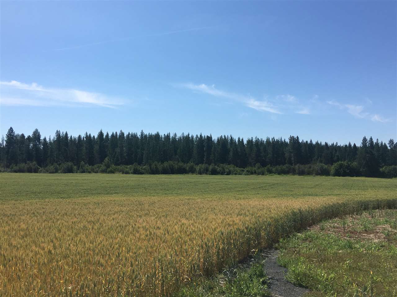 0 West Herman Road, Unit 28044 9062 Deer Park, WA 99006 - Photo 9 of 30