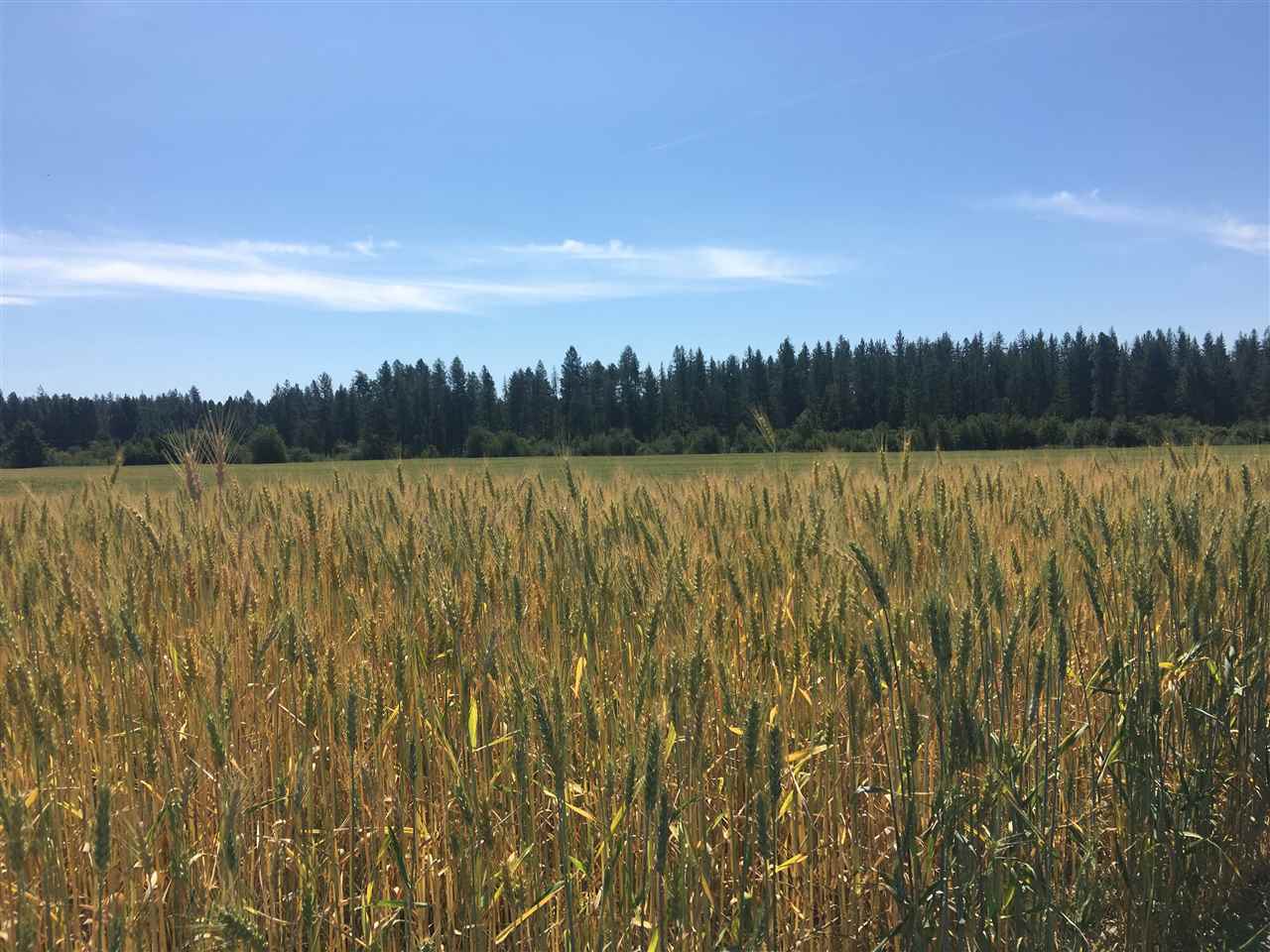 0 West Herman Road, Unit 28044 9062 Deer Park, WA 99006 - Photo 10 of 30