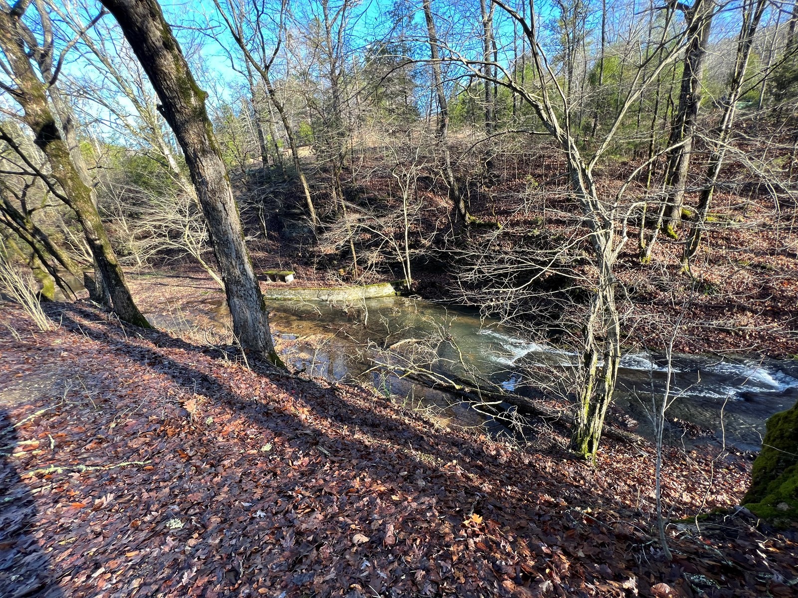 2014 Irwin Branch Road Waynesboro, TN 38485 - Photo 2 of 19 Gallery Image 2