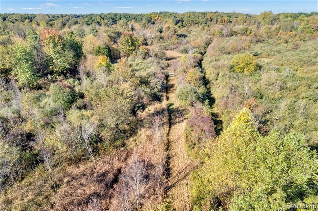 2953 North Summers Road Imlay City, MI 48444 - Photo 7 of 27 Gallery Image 7