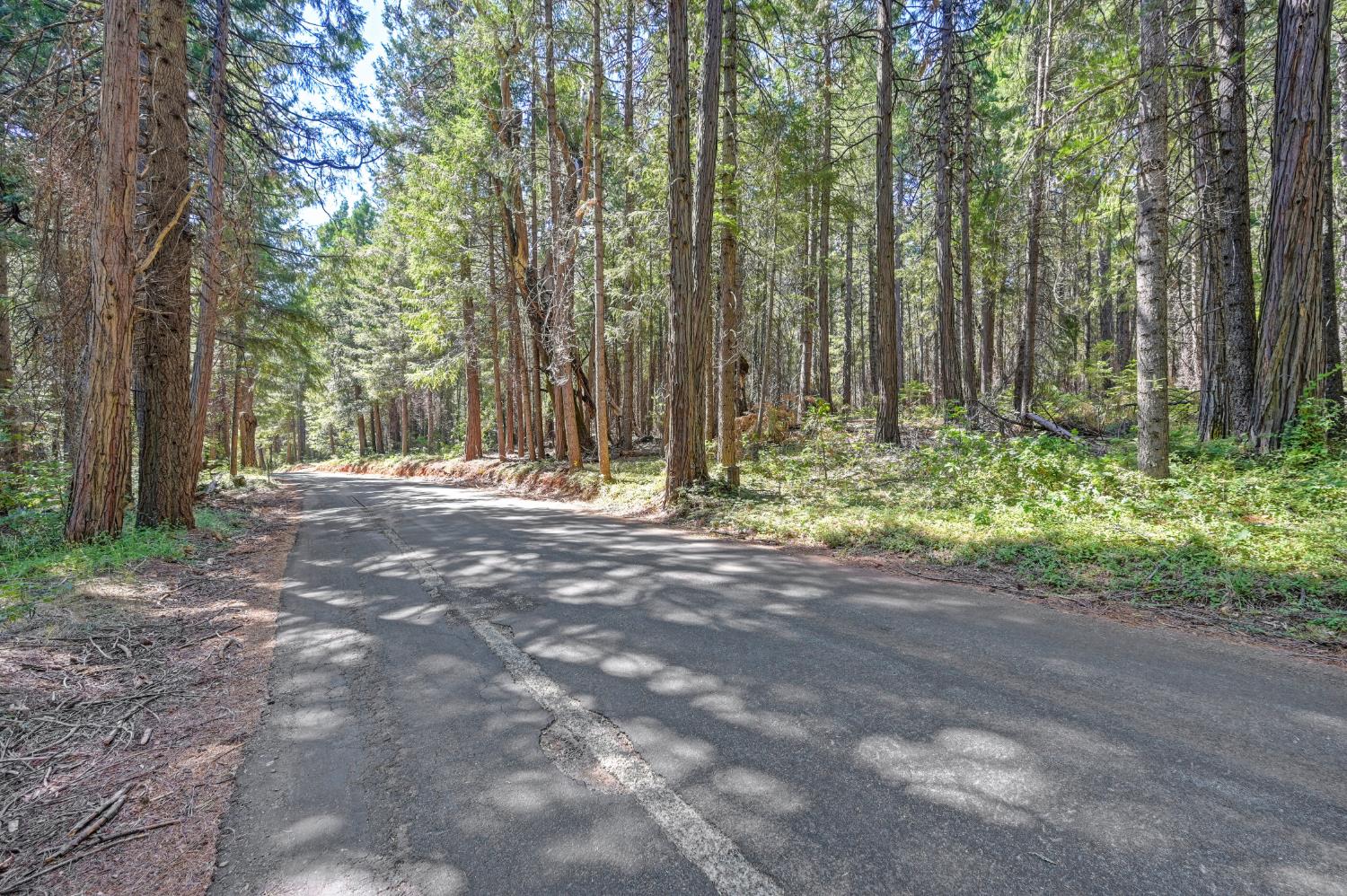 0 Big Dipper Road Colfax, CA 95713 - Photo 10 of 30 Gallery Image 10