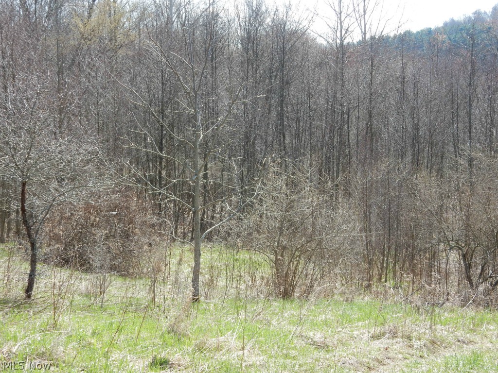 Aubihl Road New Philadelphia, OH 44663 - Photo 18 of 20 Gallery Image 18