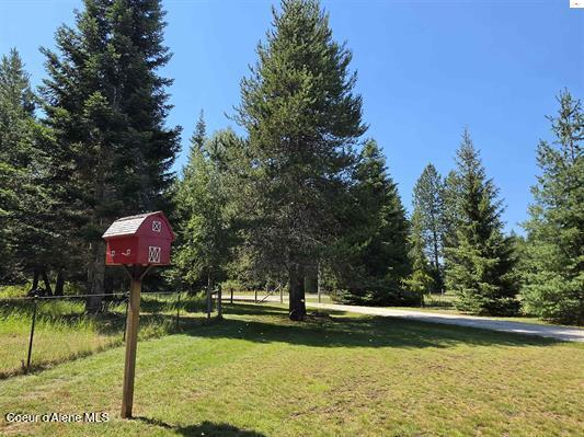 1599 Samuels Road Sandpoint, ID 83864 - Photo 45 of 56 Side yard 2