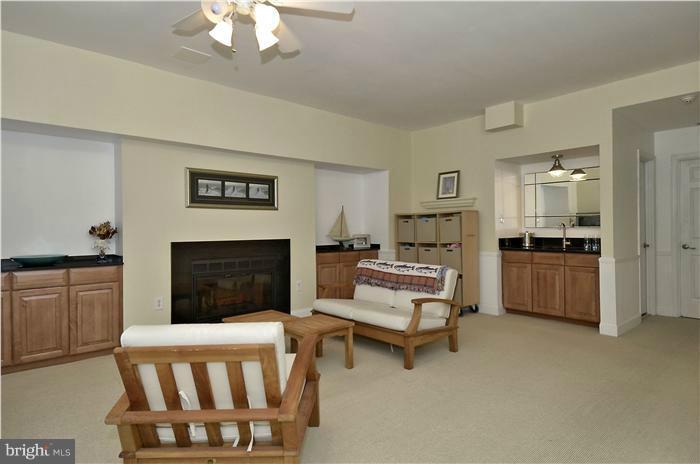 Basement Family Room