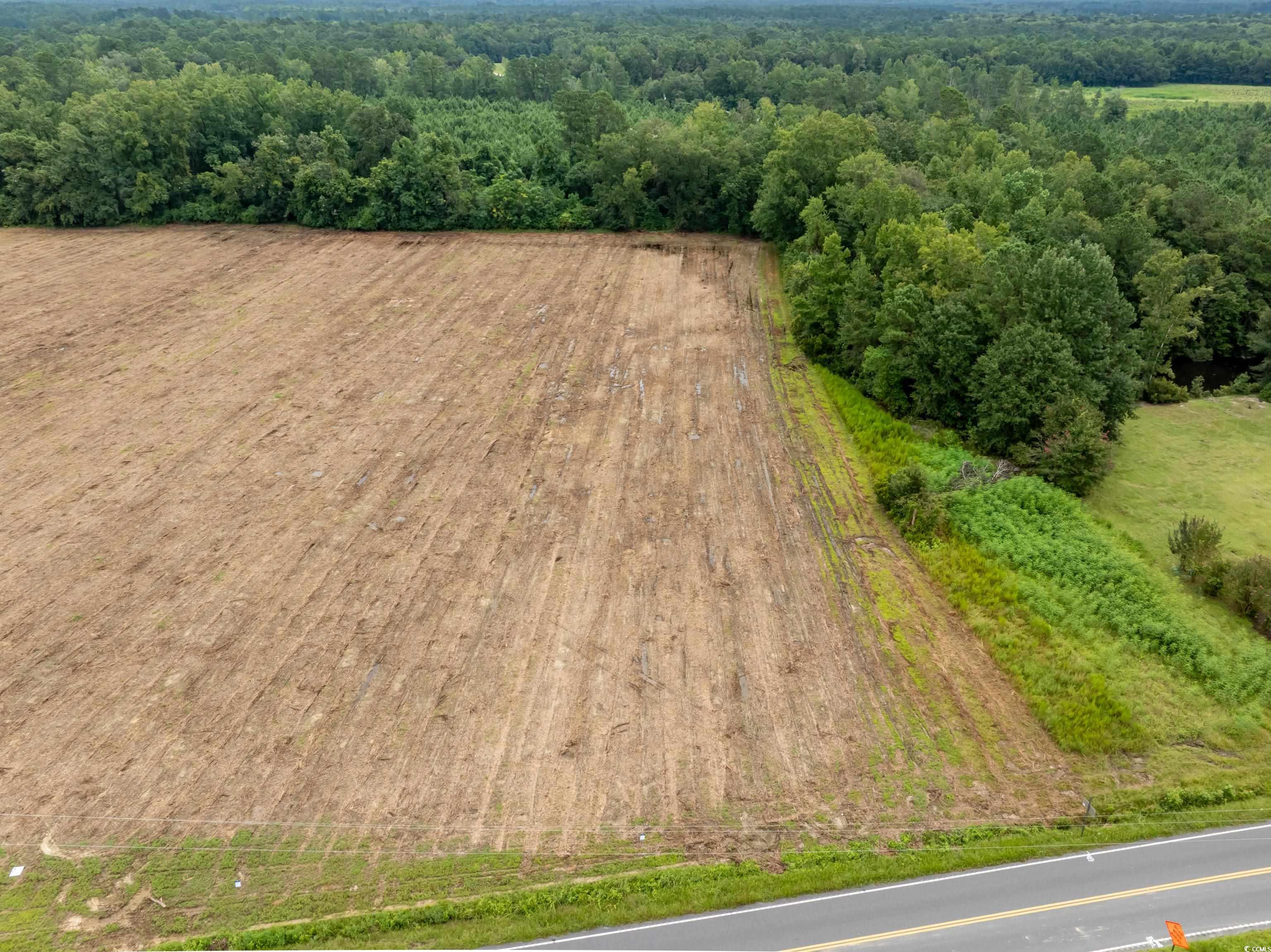 Tbd Lot 8 Tbd Road Nichols, SC 29581 - Photo 6 of 6 Gallery Image 6