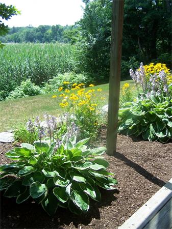18 Andrew Isle Road Hingham, MA 02043 - Photo 12 of 17 Gallery Image 12