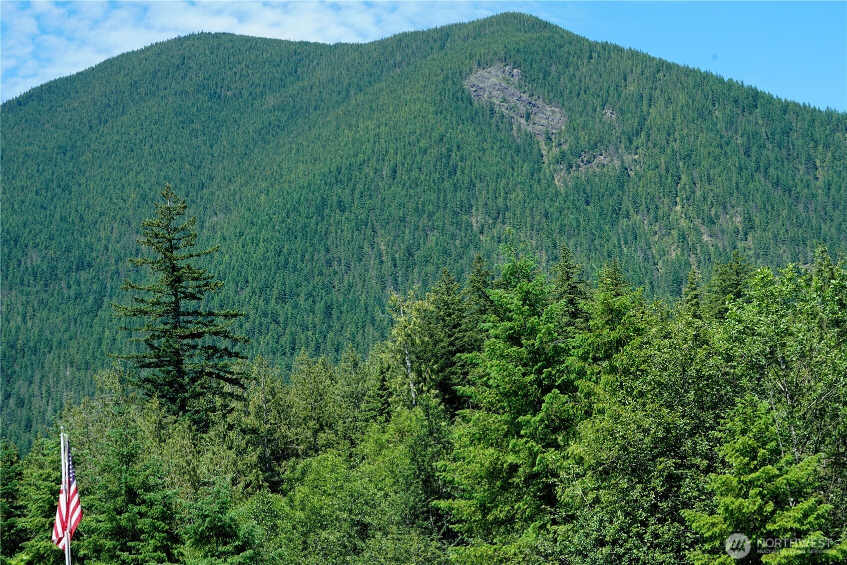 2904 Wildwood Road Quilcene, WA 98376 - Photo 30 of 39 a view of a lush green space