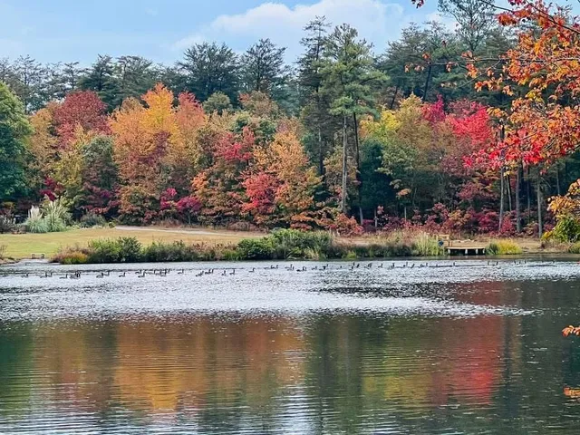a view of lake with green space