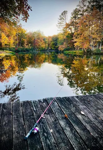 a view of a lake with houses in the back