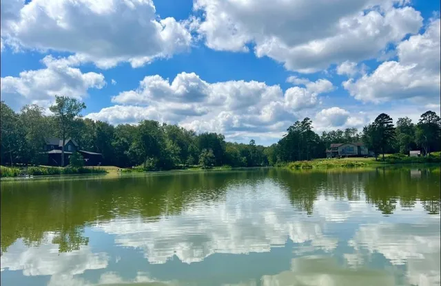 a view of a lake with a city view