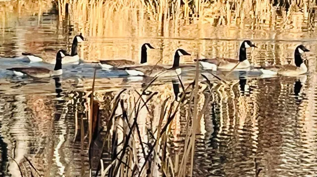 a view of lake and mountain view