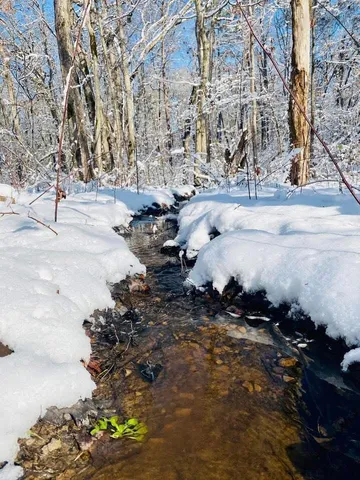 $549,900 | 23475 Sr 108, Coalmont, TN 37313