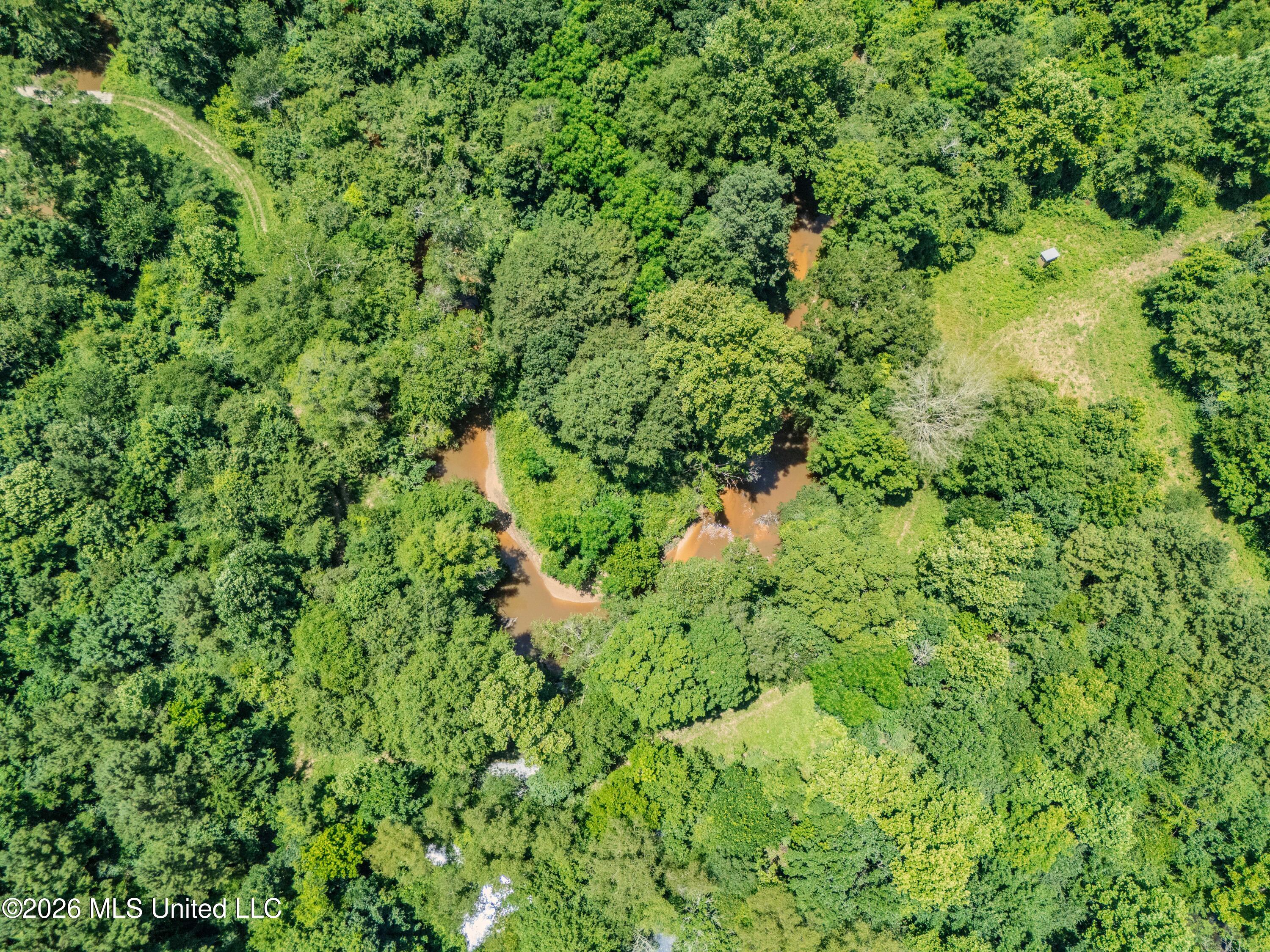 23 Co Road Bay Springs, MS 39422 - Photo 53 of 64 DJI_20260611123849_0025_D