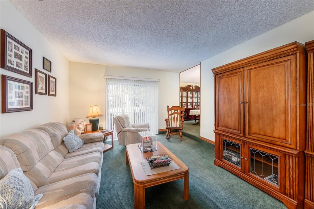 1862 Wind Willow Road Belle Isle, FL 32809 - Photo 17 of 42 a living room with furniture a window and a flat screen tv