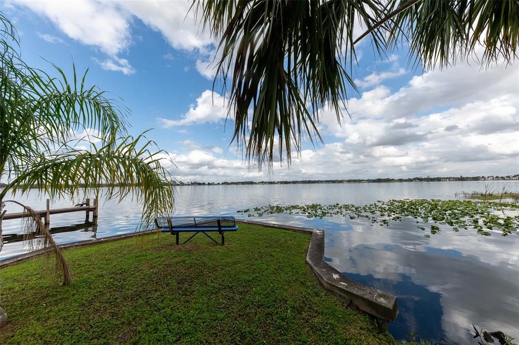 1862 Wind Willow Road Belle Isle, FL 32809 - Photo 31 of 42 a view of a palm tree with a yard