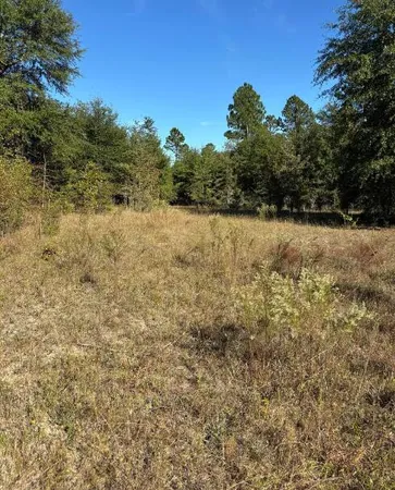 $139,950 | Tbd Pearl Bonnett Road, Windsor, SC 29856