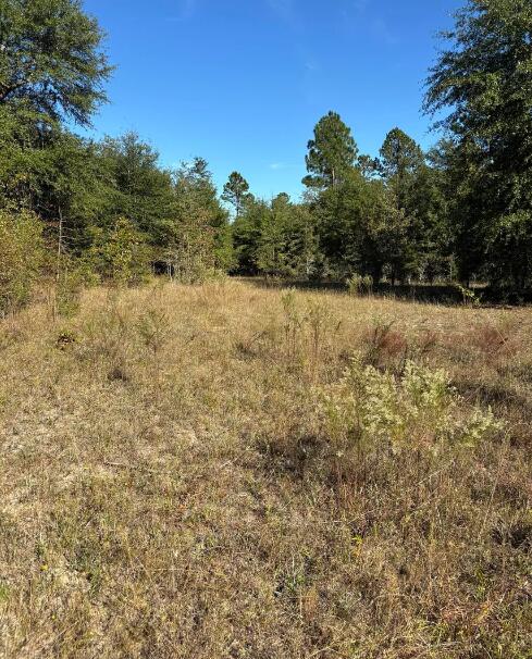 Tbd Pearl Bonnett Road Windsor, SC 29856 - Photo 11 of 16 Screenshot 2025-10-20 105302