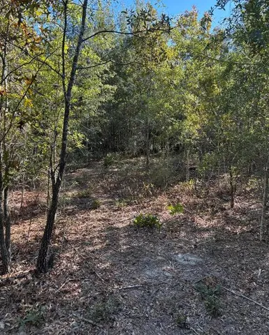 $139,950 | Tbd Pearl Bonnett Road, Windsor, SC 29856