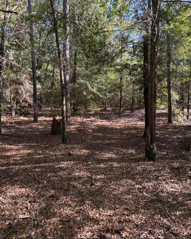 $139,950 | Tbd Pearl Bonnett Road, Windsor, SC 29856