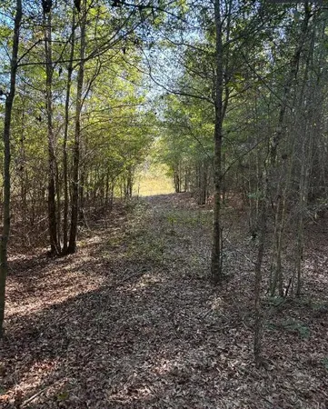$139,950 | Tbd Pearl Bonnett Road, Windsor, SC 29856