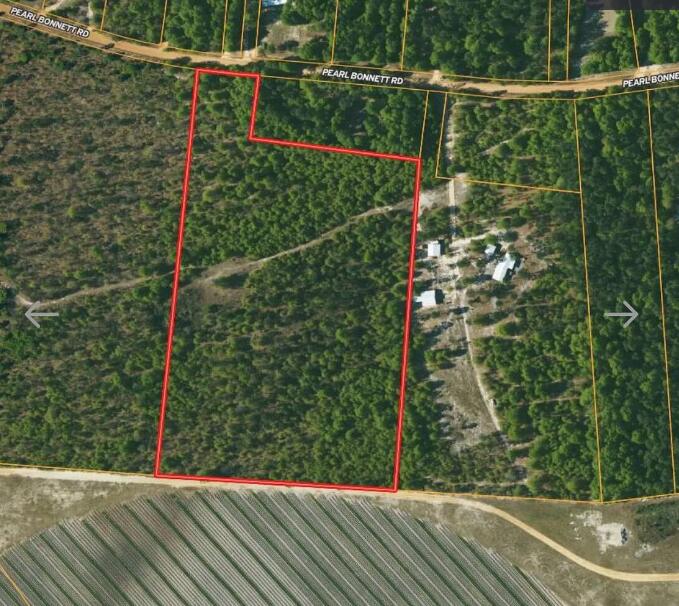 Tbd Pearl Bonnett Road Windsor, SC 29856 - Photo 2 of 16 Screenshot 2025-10-20 105016