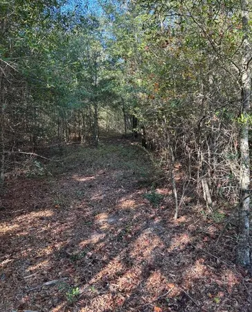 $139,950 | Tbd Pearl Bonnett Road, Windsor, SC 29856