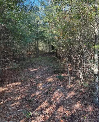 $139,950 | Tbd Pearl Bonnett Road, Windsor, SC 29856