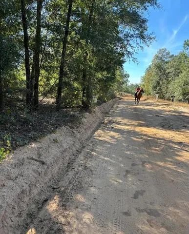 $139,950 | Tbd Pearl Bonnett Road, Windsor, SC 29856