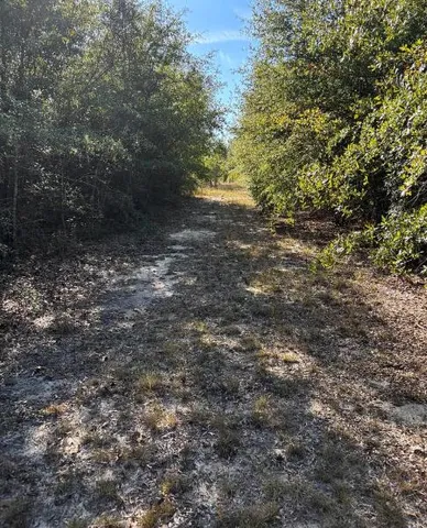 $139,950 | Tbd Pearl Bonnett Road, Windsor, SC 29856